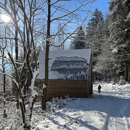 Chatka Pod Lysou Ostravice Exteriér fotografie