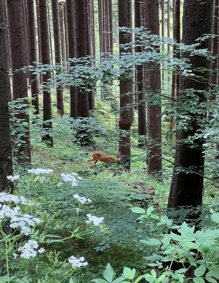 Chatka Pod Lysou Ostravice Exteriér fotografie
