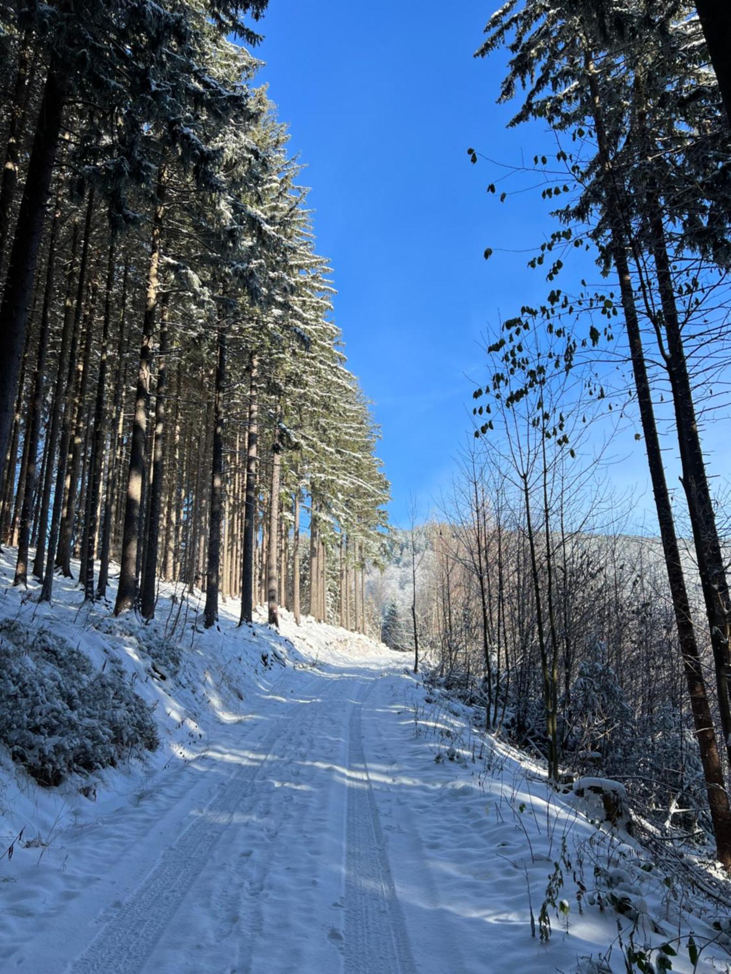 Chatka Pod Lysou Ostravice Exteriér fotografie