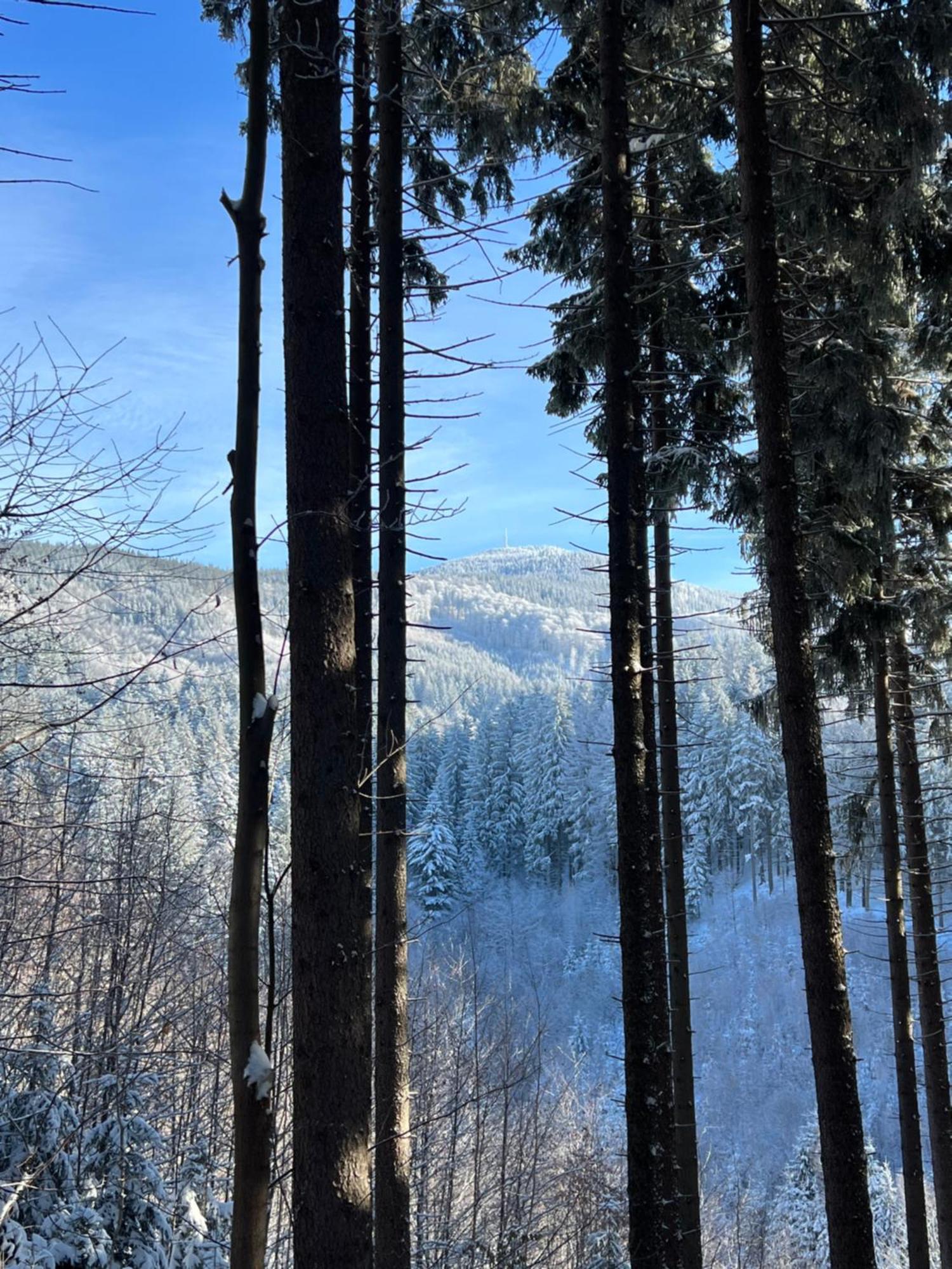 Chatka Pod Lysou Ostravice Exteriér fotografie